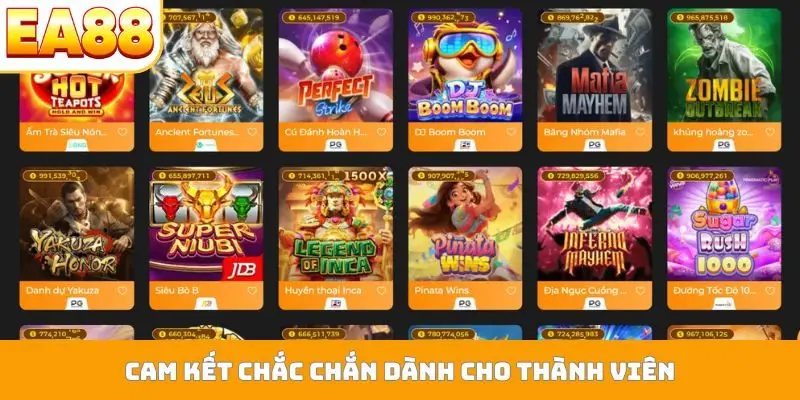 Cam kết chắc chắn dành cho thành viên