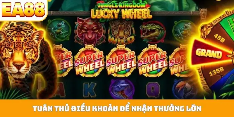 Tuân thủ điều khoản để nhận thưởng lớn