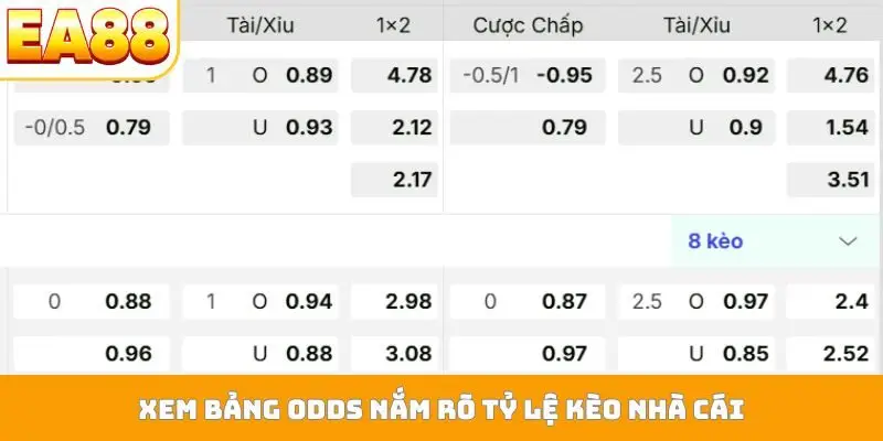 Xem bảng odds nắm rõ tỷ lệ kèo nhà cái